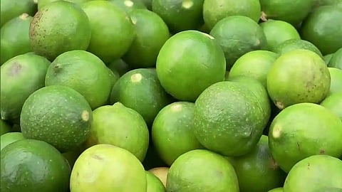 lemon