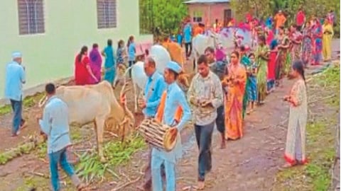 Saptadhenu Pujan program for native cows at Sablewadi