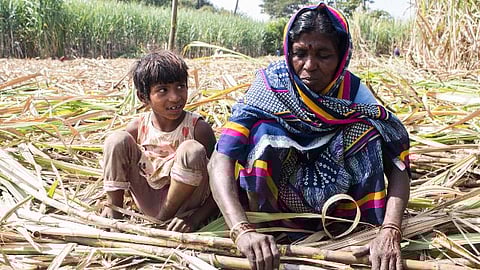 Beed sugarcane workers Children education