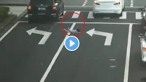 Viral Video