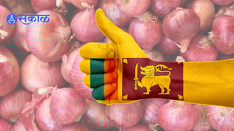 solstice of onion import ban in Sri Lanka will be avoided