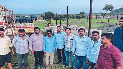 local crime branch seized 45 cattle from illegal slaughter at Patur
