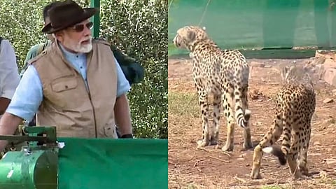 PM Narendra Modi