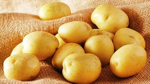 Viral Video : ऑनलाईन मागवला ड्रोन हाती आला बटाटा; पहा व्हिडीओ 