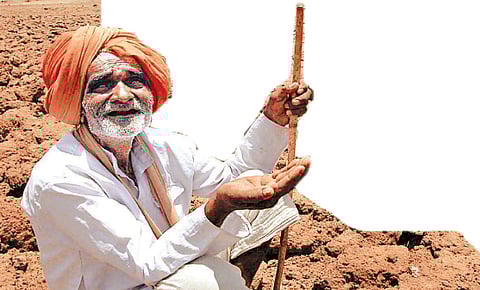 farmer 