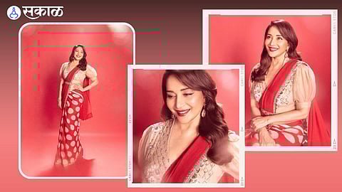 Madhuri Dixit Torlled 