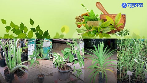 Health tips Blood sugar level decrease