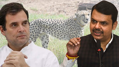 Rahul Gandhi_Devendra Fadnavis