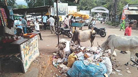 Garbage heap in the market