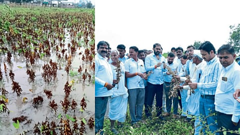 Parbhani 