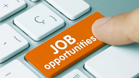 job opportunities
