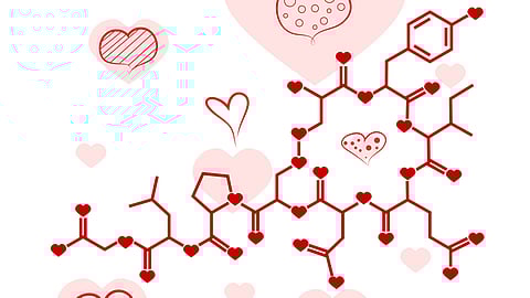 oxytocin drugs