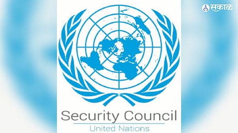 United Nations Security Council