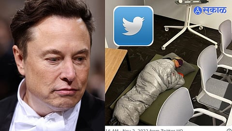 Elon Musk Twitter