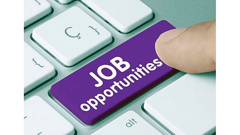 Job Opportunity