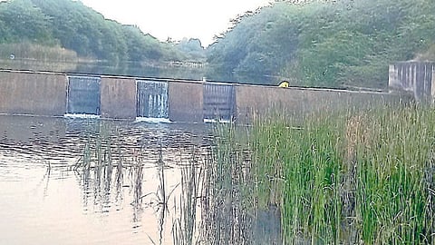 Krishna river water from Karnataka to Maharashtra sangli