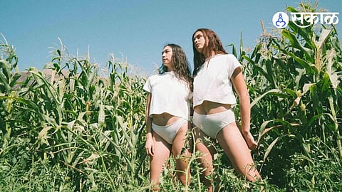 Compostable Underwear
