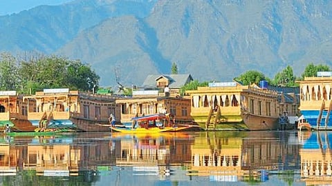 Set strategy for houseboat industry Cedar tree