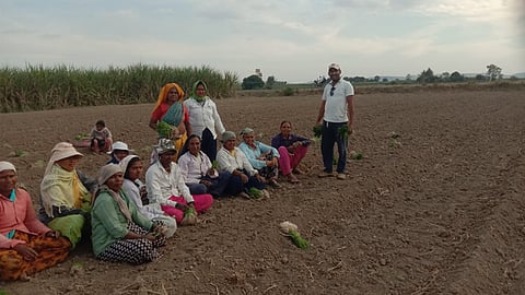 Farm Labour