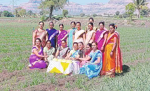 शेतात केक कापून नववर्षाचे स्वागत