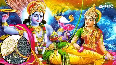 Shatta Tila Ekadashi