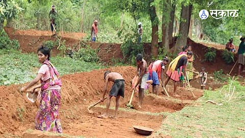 Nrega  Scheme : सरकारने कामाची दिलेली गॅरेंटी म्हणजेच रोजगार हमी योजना!

