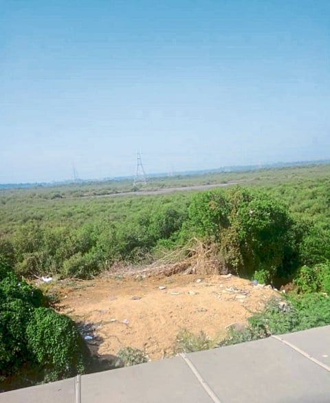 मालवणी येथे खारफुटीवर अवैध भराव