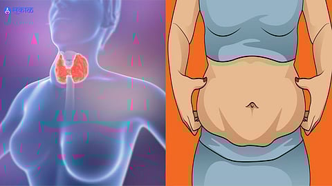 Weight Loss Diet