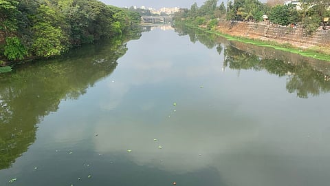 Mula river basin