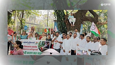save tree