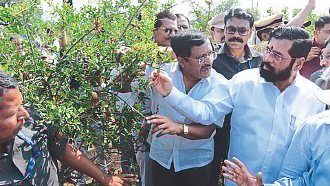 मुख्यमंत्री