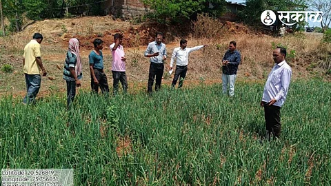 farmer Kashinath Dalvi. While going to the field and inspecting the onion crop, Tehsildar Sachin Mulik etc at At Pohali, Tal. Surgana. 