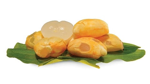 benefit of tadgoli fruit summer health