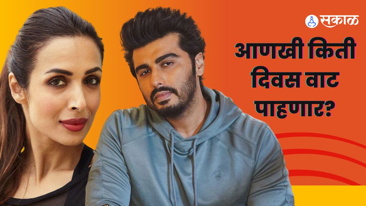 Arjun Kapoor birthday wedding