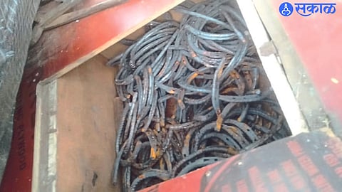 Jalgaon: Black horseshoe seized by Wildlife Conservation Society.