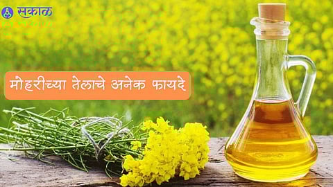Mustard Oil For Hair