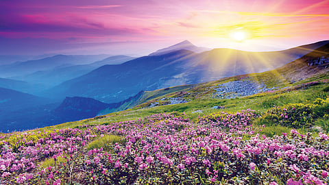 sunrise beauty attraction To create life magic