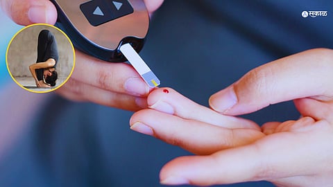 World Diabetes Day 2023