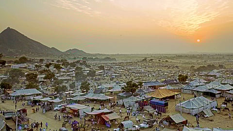 Rajasthan Pushkarmela