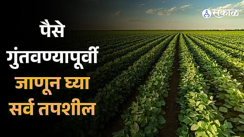 Nova Agritech IPO