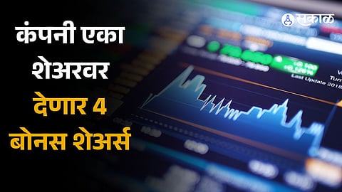 Salasar Techno Engineering gives 4 bonus shares  performance details