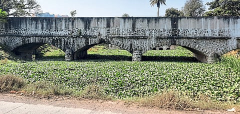 फुरसुंगीत जलपर्णी वाढल्याने
साथीच्या आजारांना निमंत्रण