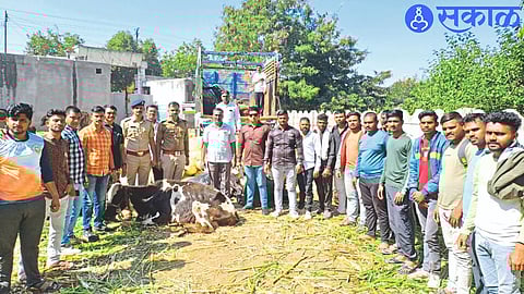 Cow guards and colleagues 