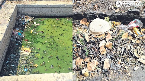 Nirmalya who fell in Sita lake. In the second photograph, hair cut during the Dasakriya ritual is lying around in the area. The litter in the last photo.