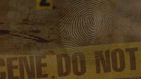 Fraud Crime 
