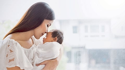 mother born baby cycle of nature