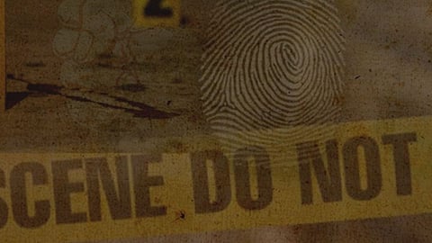 Crime 