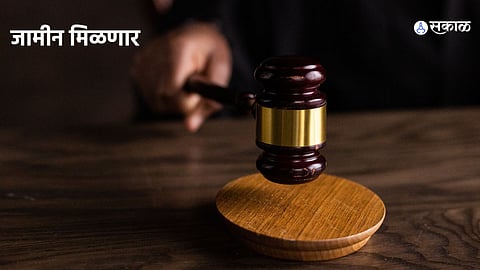 Mumbai News: भीमा कोरेगाव हिंसाचार प्रकरण: सुरेंद्र गडलिंग,महेश राऊत यांची जामीनाची मागणी