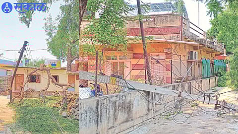 Heavy rain accompanied by strong winds caused a tree to fall in front of the office of the power company