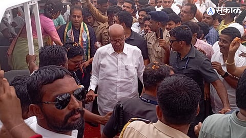 Sharad Pawar says as long as we are all united no can disturb lok sabha election politics

